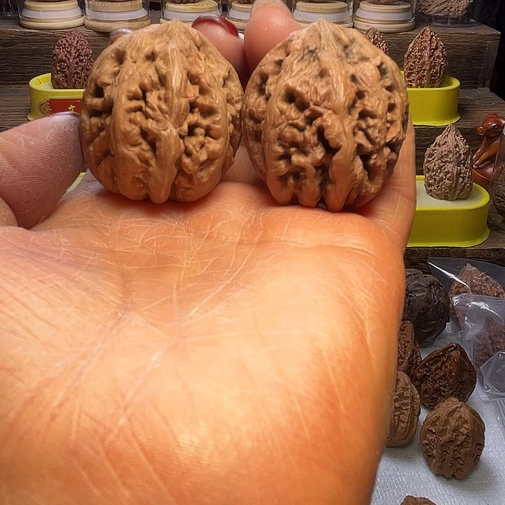 核桃30号车放漏漏漏