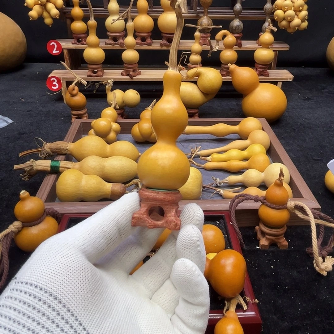 桃***人咕噜咕噜咕噜咕噜咕噜