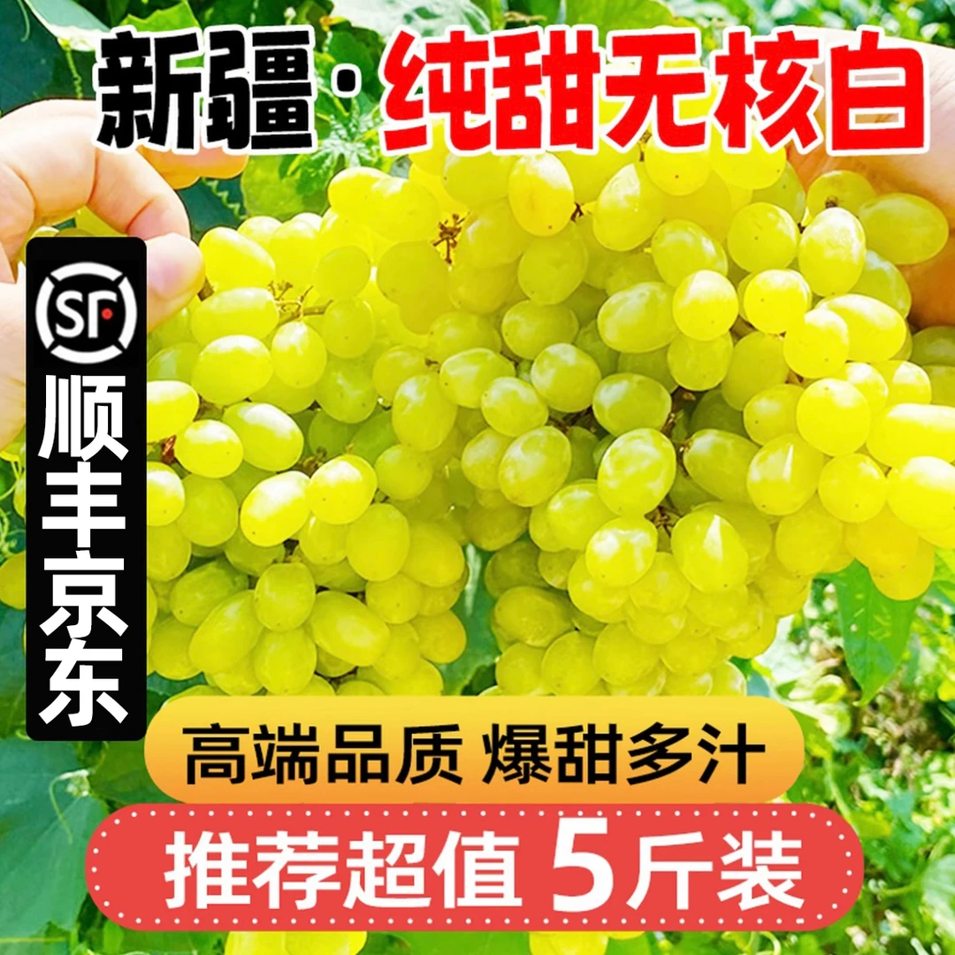 【顺丰/京东】吐鲁番核心产区无核白葡萄新鲜河北上海广东多仓发货A