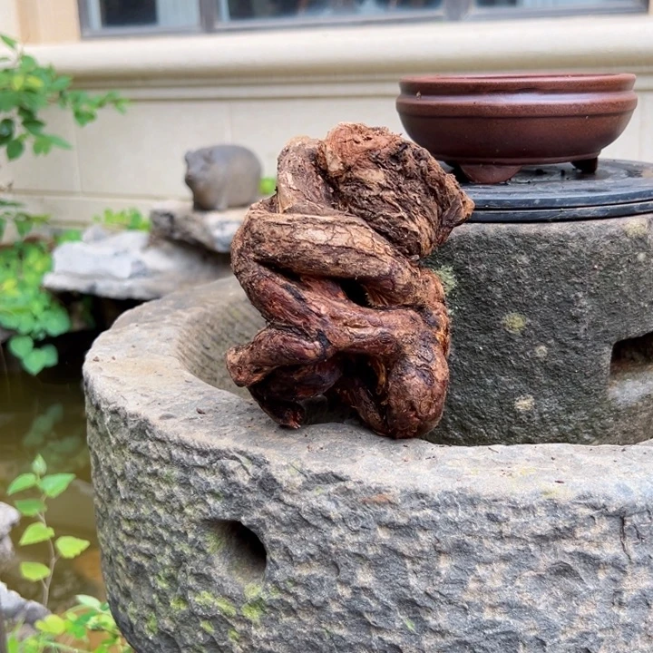 牛***牛无花朵金丝红木羊蹄甲
