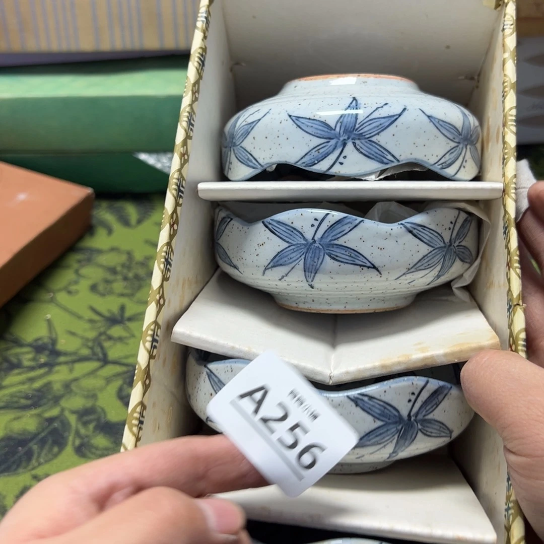 瓷片啊啊啊啊啊啊啊啊啊