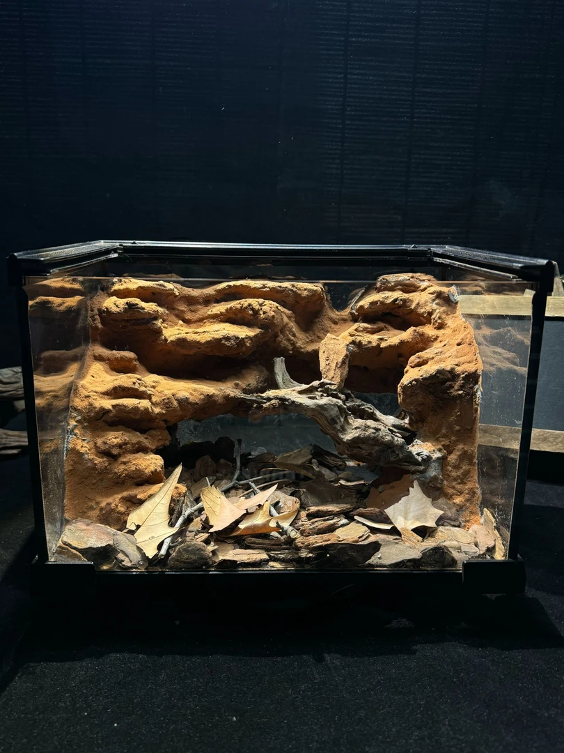 荒漠款爬宠造景缸生态爬虫饲养缸守宫