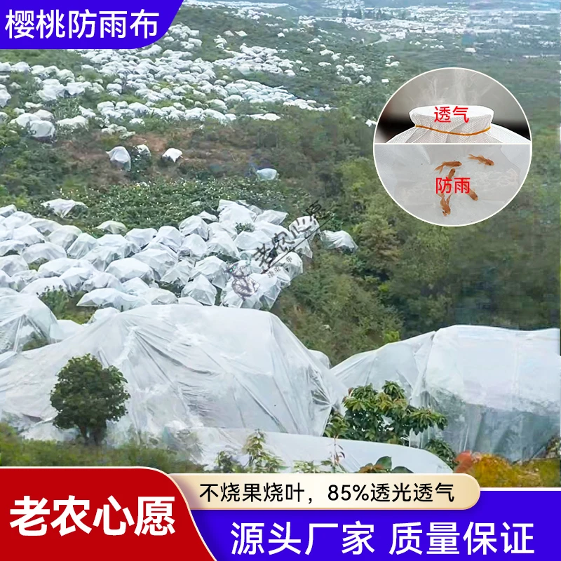 老农心愿李子、车厘子、大樱桃、梨专用透气透光防雨布避雨布护李布