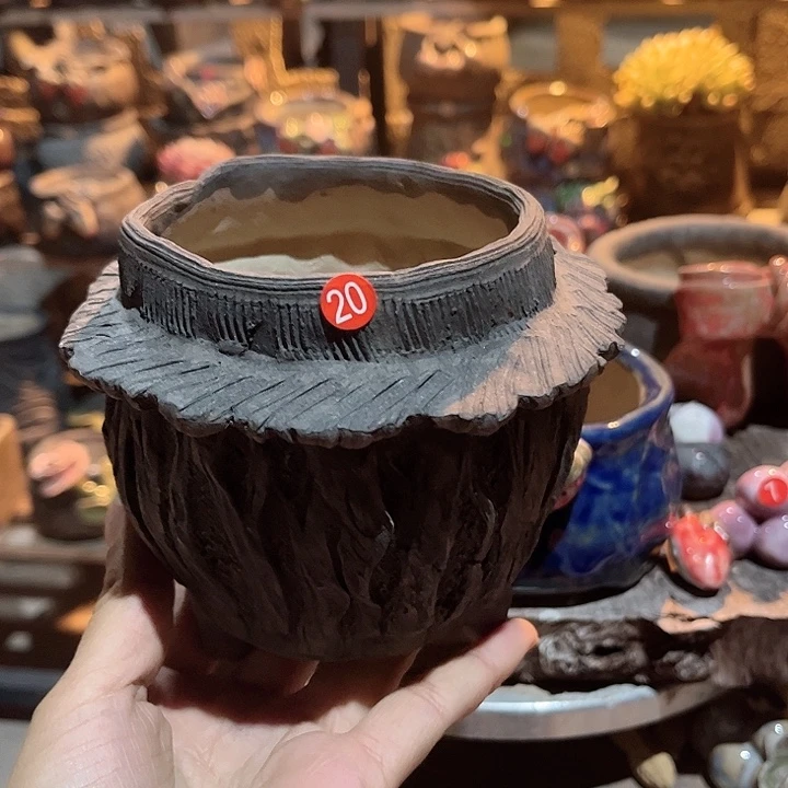 红陶不好意思的说