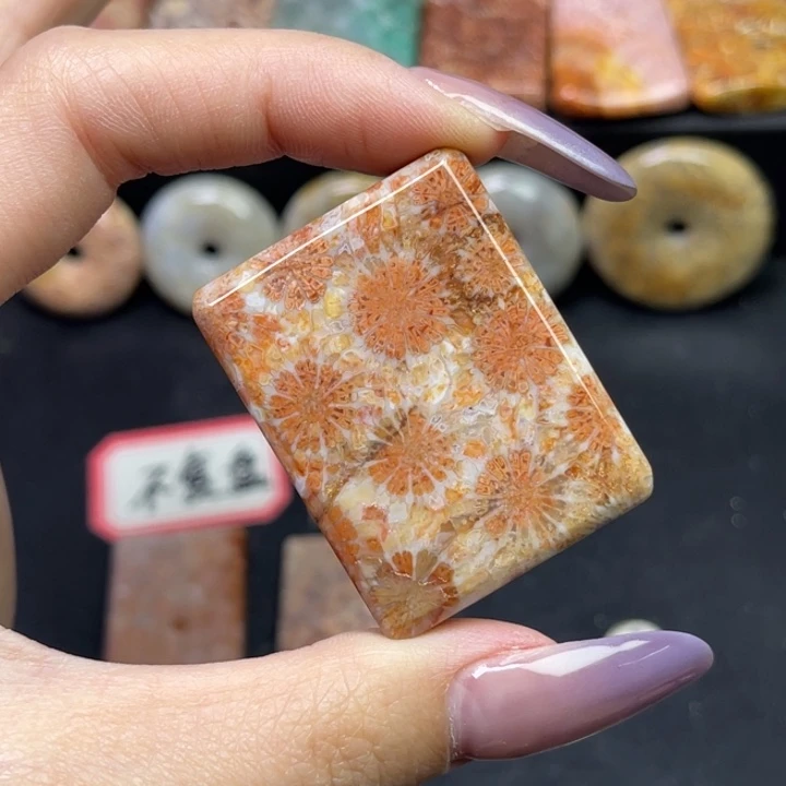 未镶嵌吊坠硅化珊瑚（珊瑚玉）