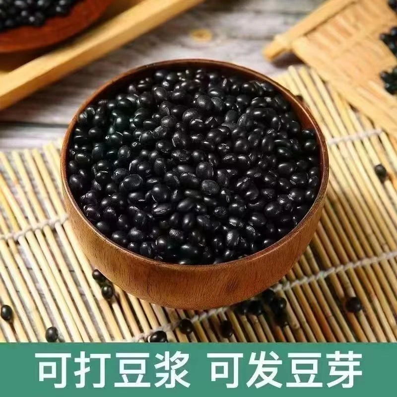 黑豆打豆浆专用黄芯黑豆打豆浆醋泡生豆芽农家散装