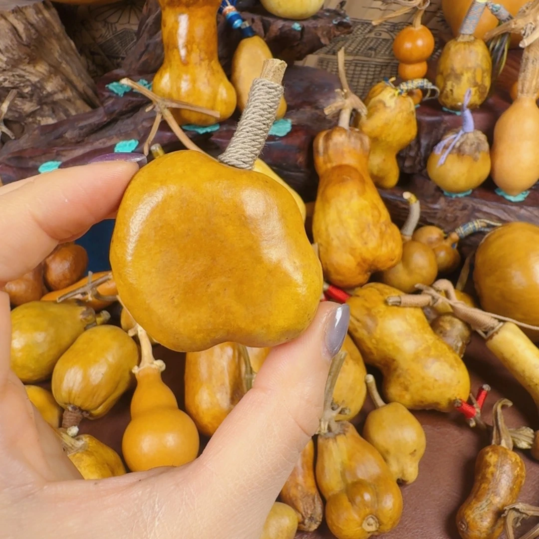 从发广告广告哈哈哈广告广告