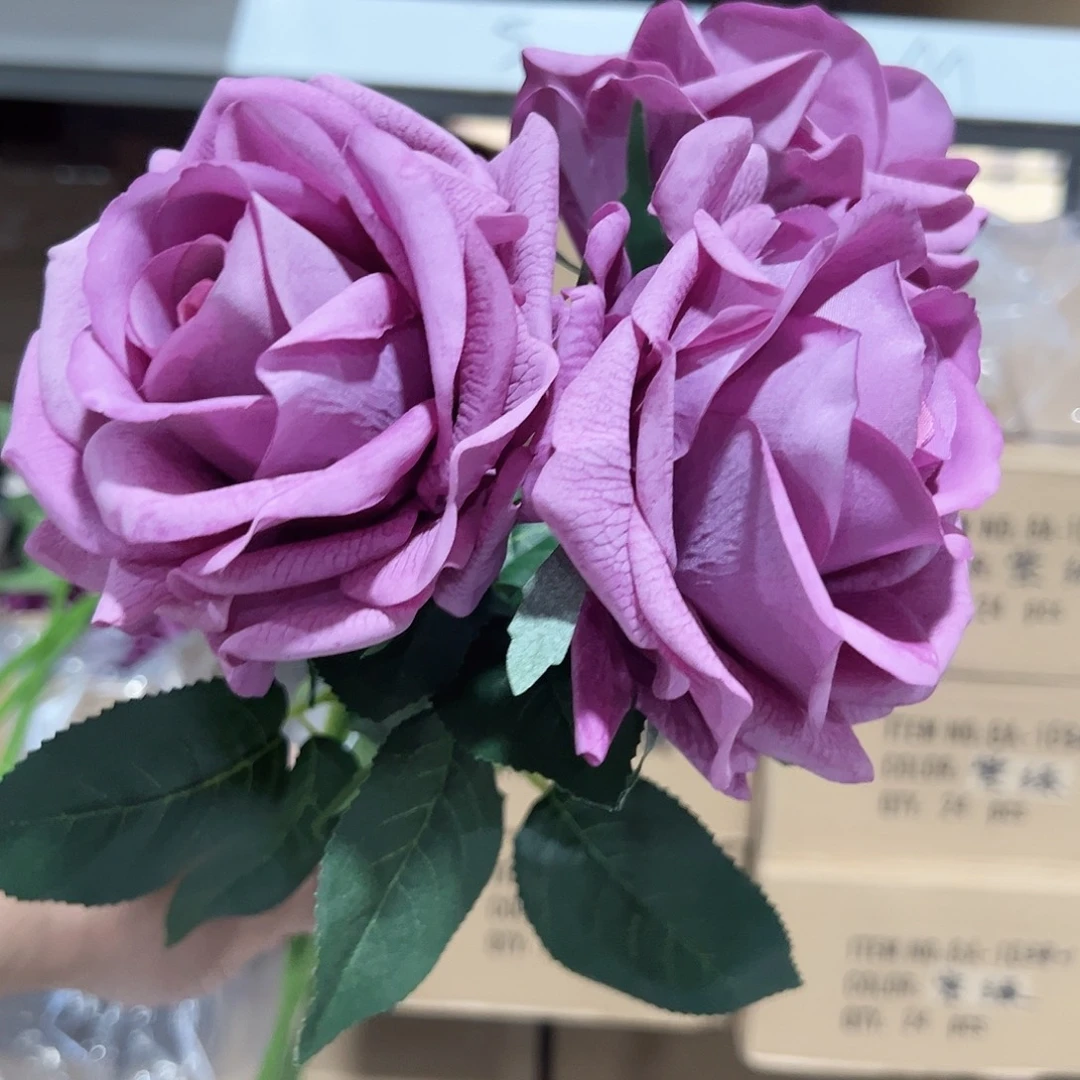 3枝紫灰卡尔玫瑰。
