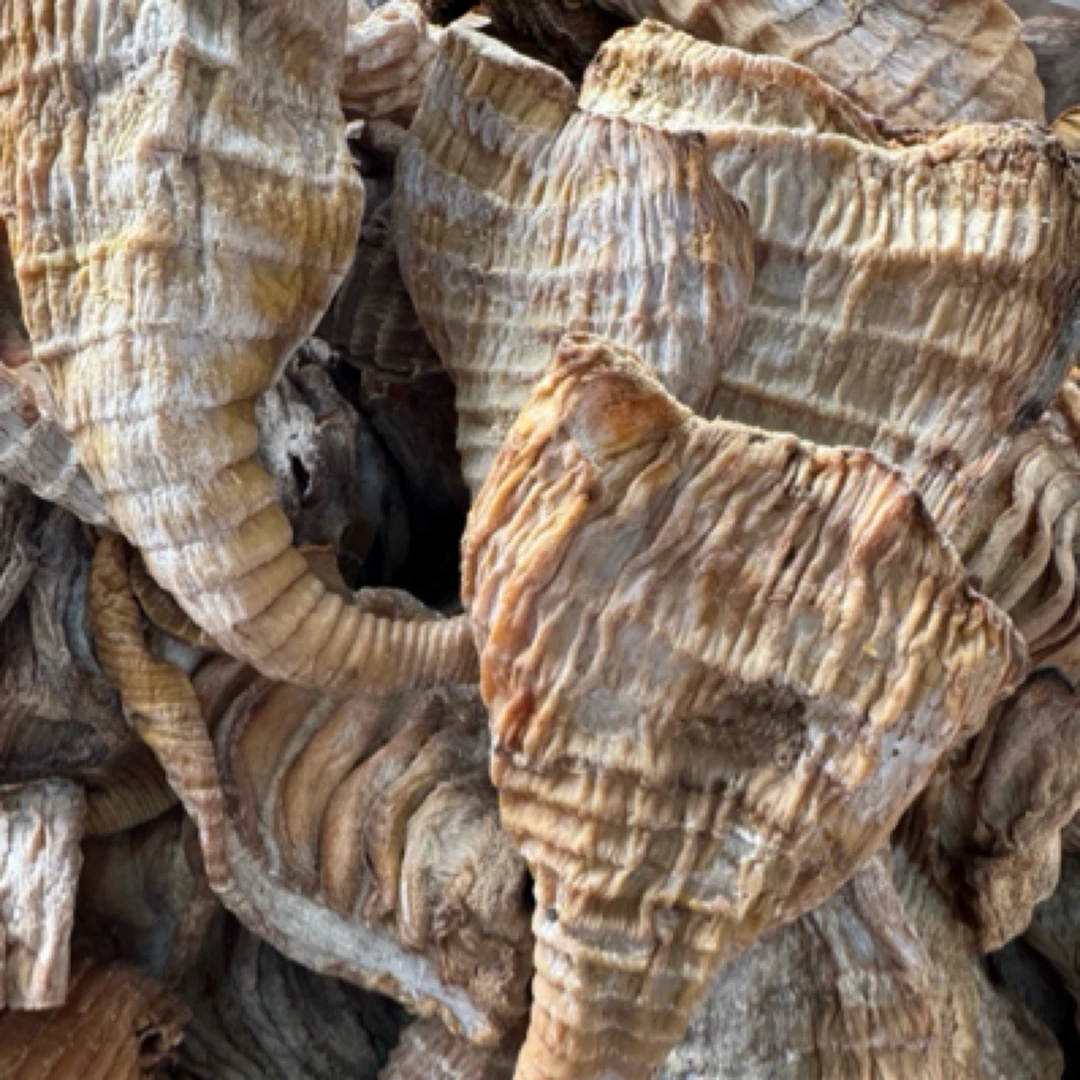 2025年新货笋干干货 嫩笋尖笋干福建笋干农家日晒无盐笋干