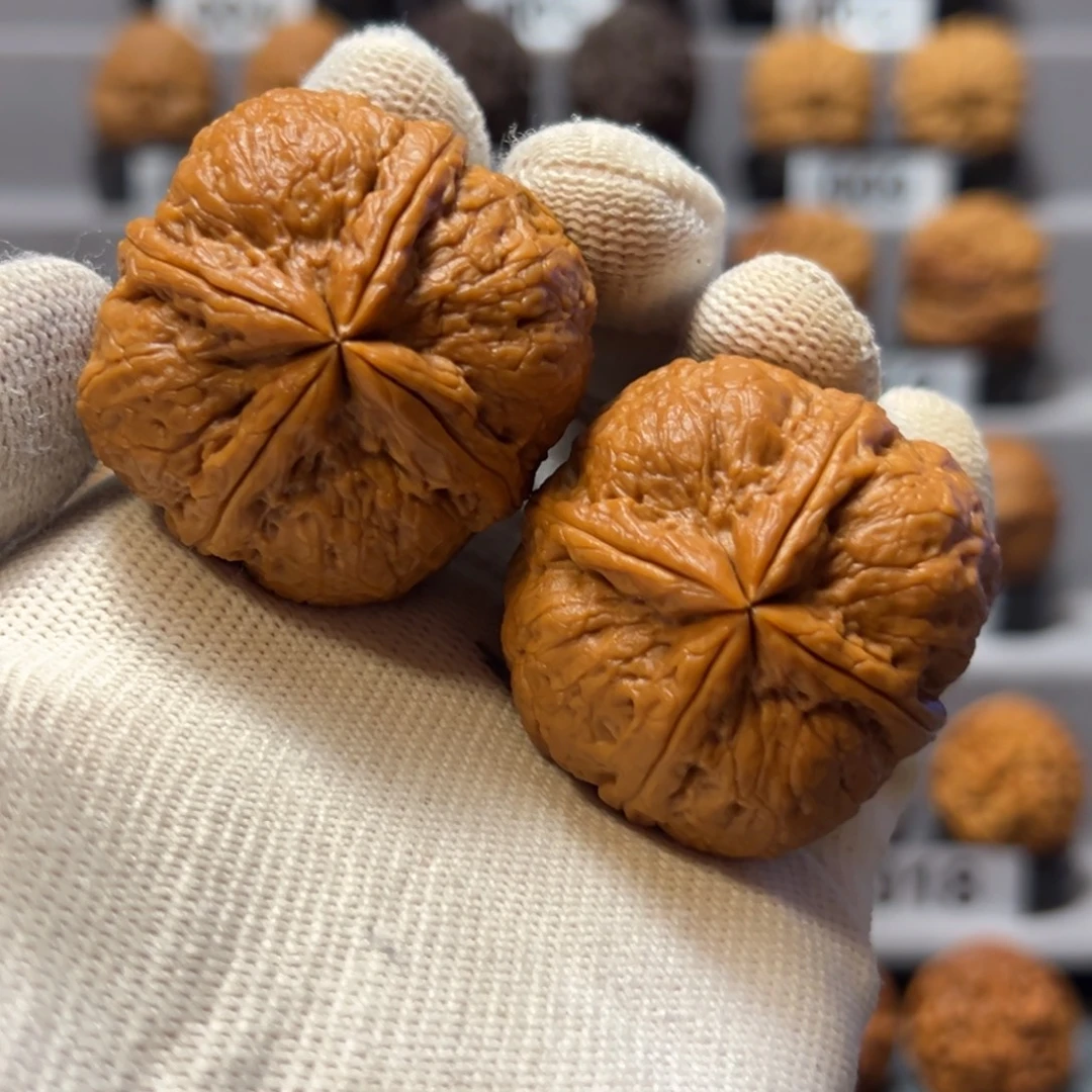 c***w把件文玩核桃42mm粗筋碧玺四棱72克