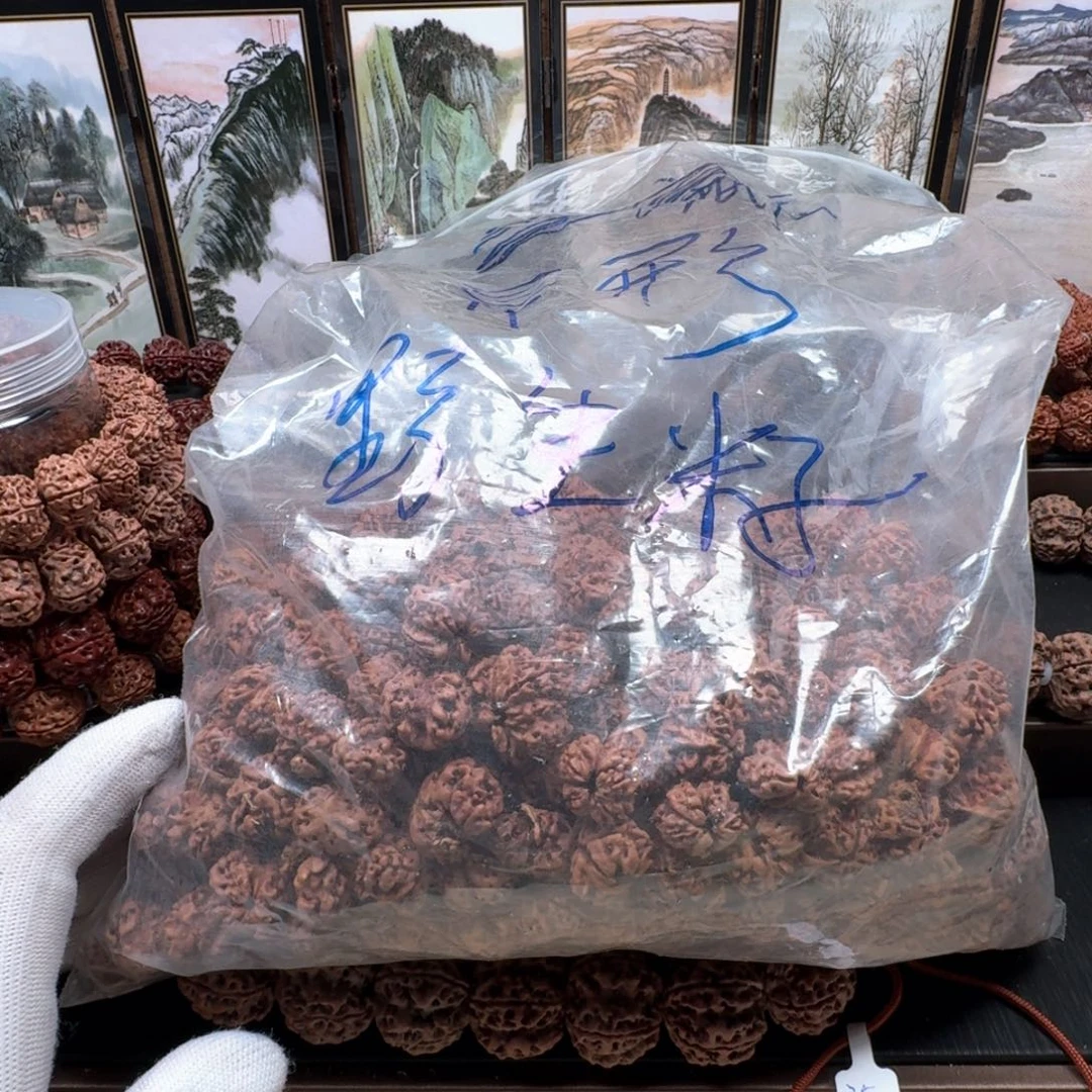 正***远手串金刚菩提大金刚野生籽一包（不退不换）