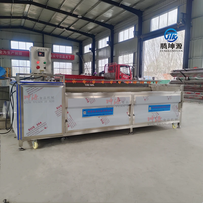 小型刺梨去泥清洗机 多功能毛辊可清洗茨菇马蹄葛根花生清洗机器