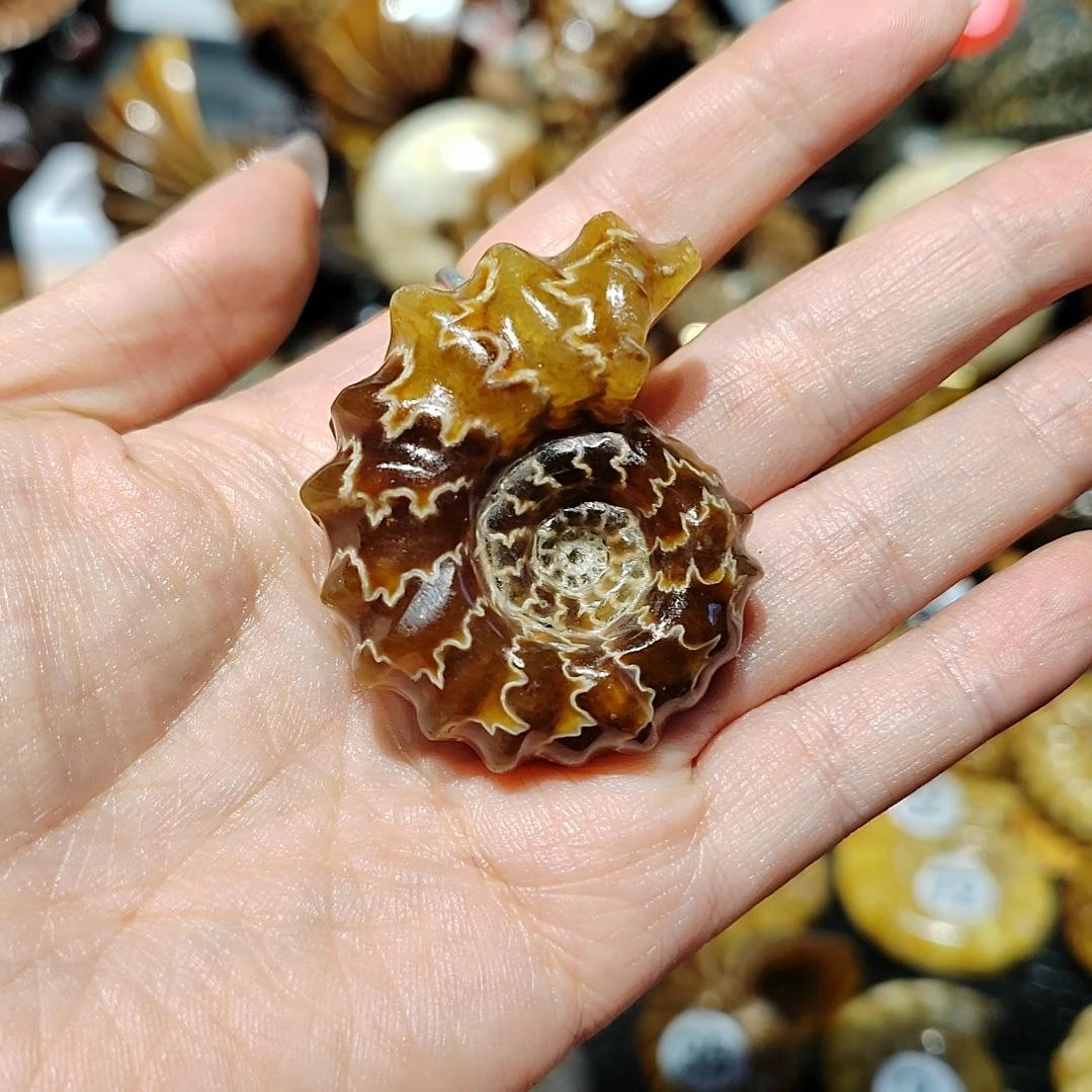 是**啊玉海螺化石手把件吊坠