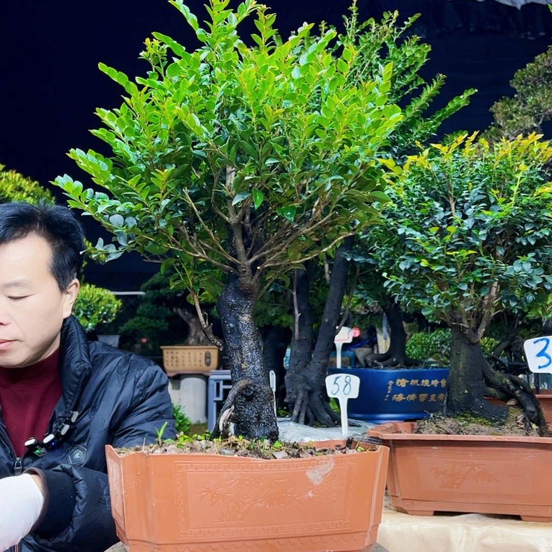 以实际为准老*12345678