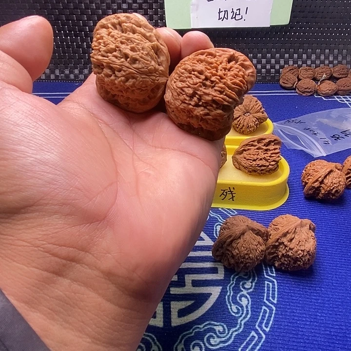 43南疆石坠天使之翼