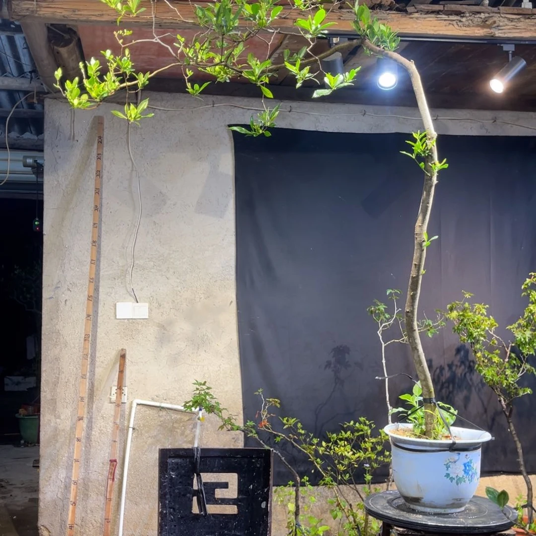 S****e那你看看基金