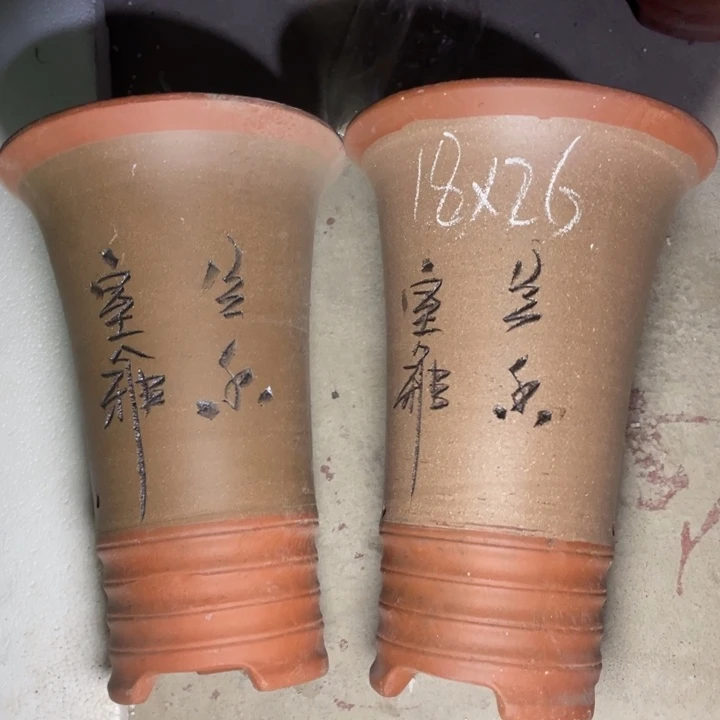 紫砂紫砂紫砂紫砂