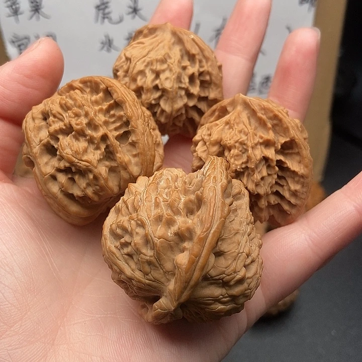 随***泊大大大大大大狮子盘龙黄