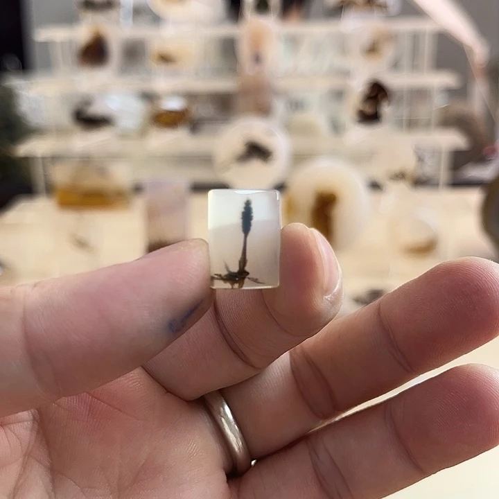 玛瑙/玉髓吊坠(不含链)未镶嵌