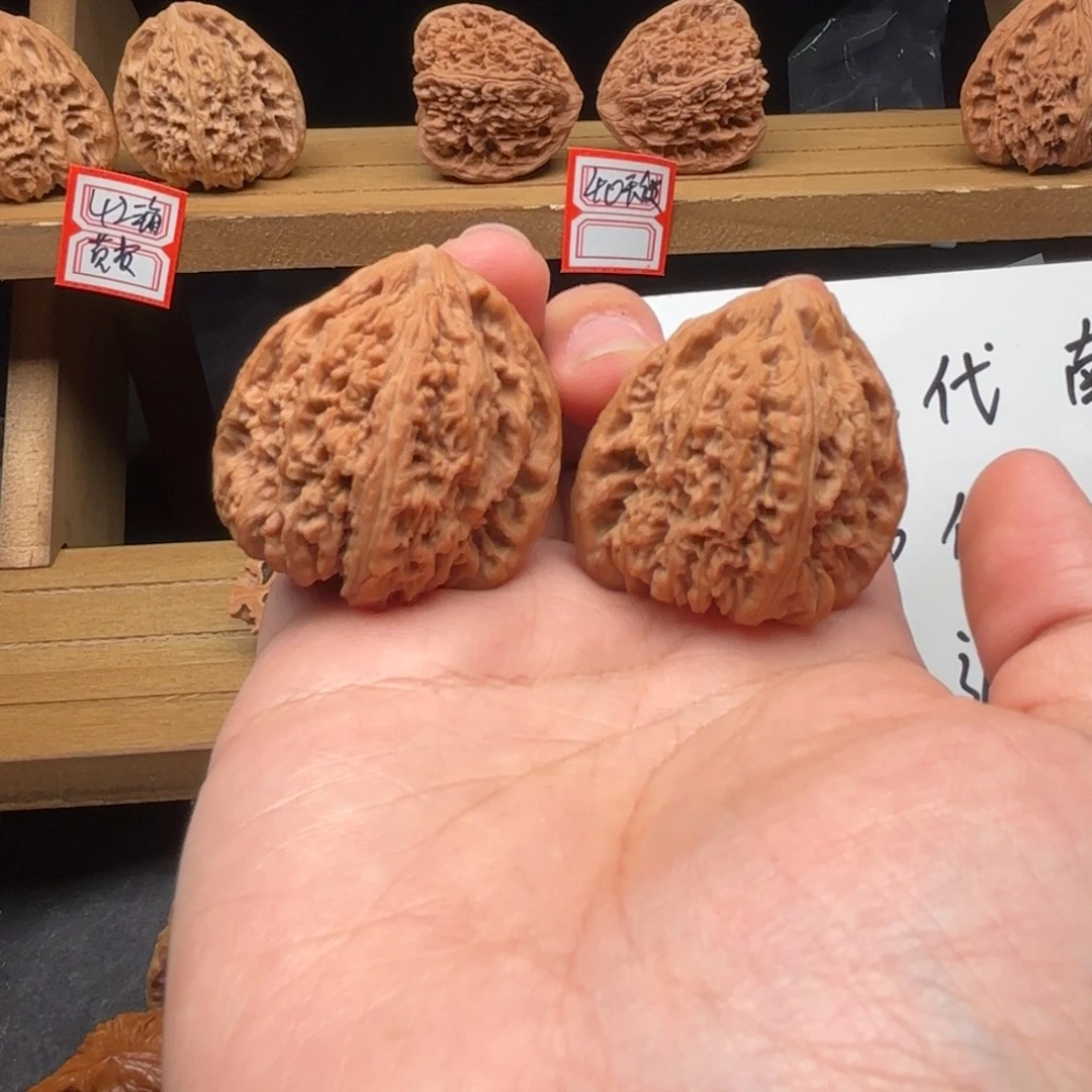 芒***欧核桃涿鹿南疆一代