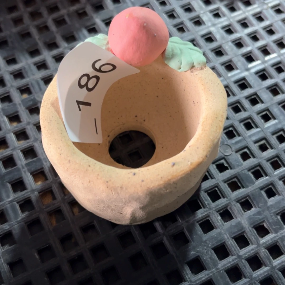 红陶w*b186花盆  1个