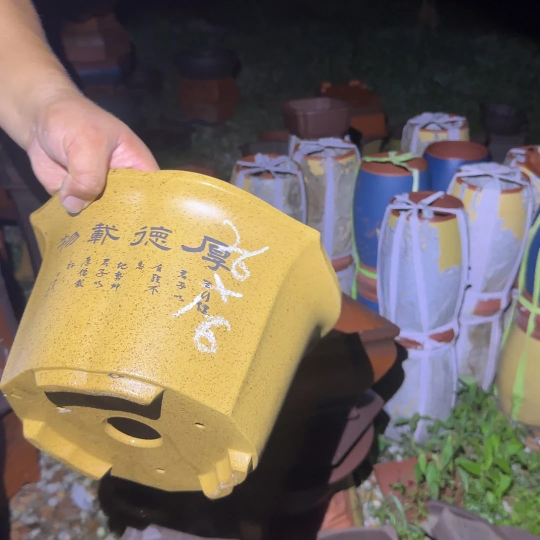 紫砂花盆紫砂花盆花盆花盆盆景盆栽