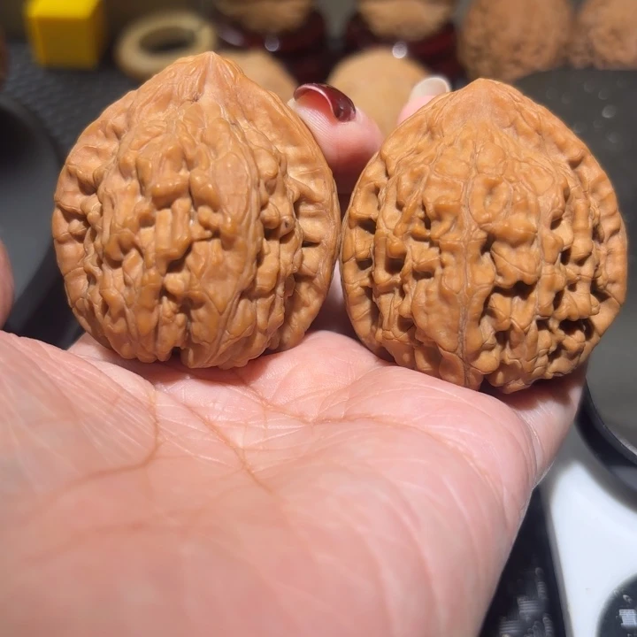 文玩核桃把件41蚂蚁王