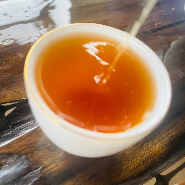 2024/古树春尾晒红/小龙珠/花香/果甜/