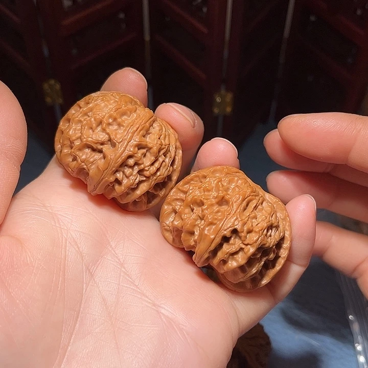 41球形大肚苹果，金钱底，