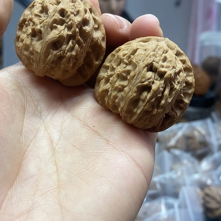 文玩核桃把件38.5白狮子