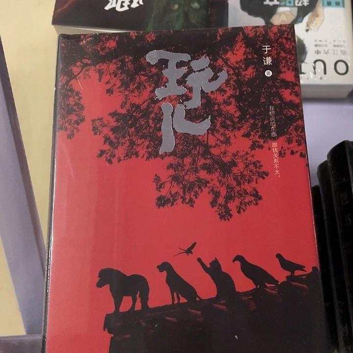 玩儿    精装带塑封