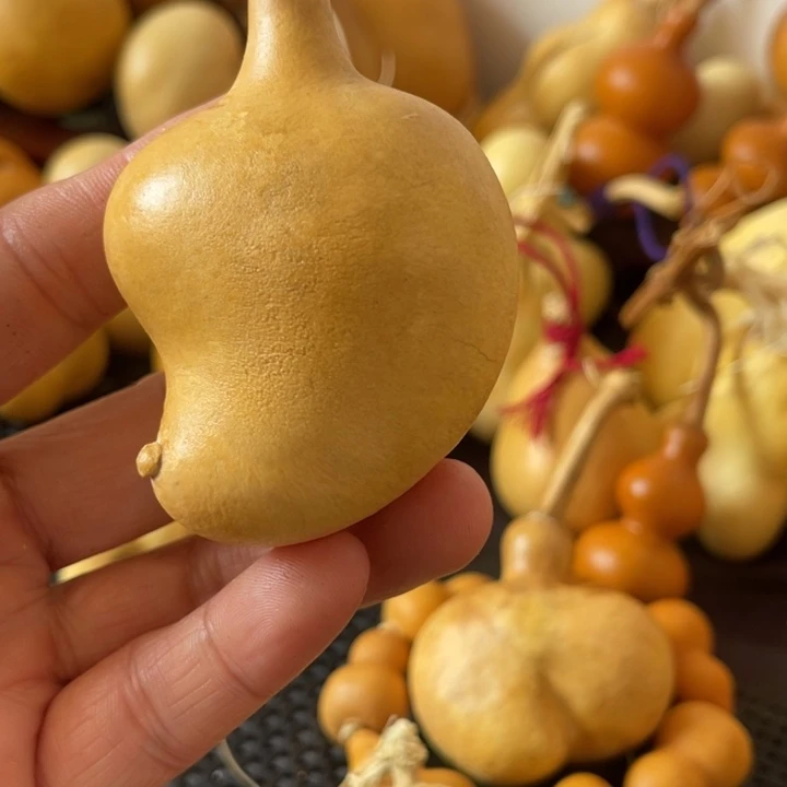 巧***花葫芦哈哈哈哈哈哈哈哈