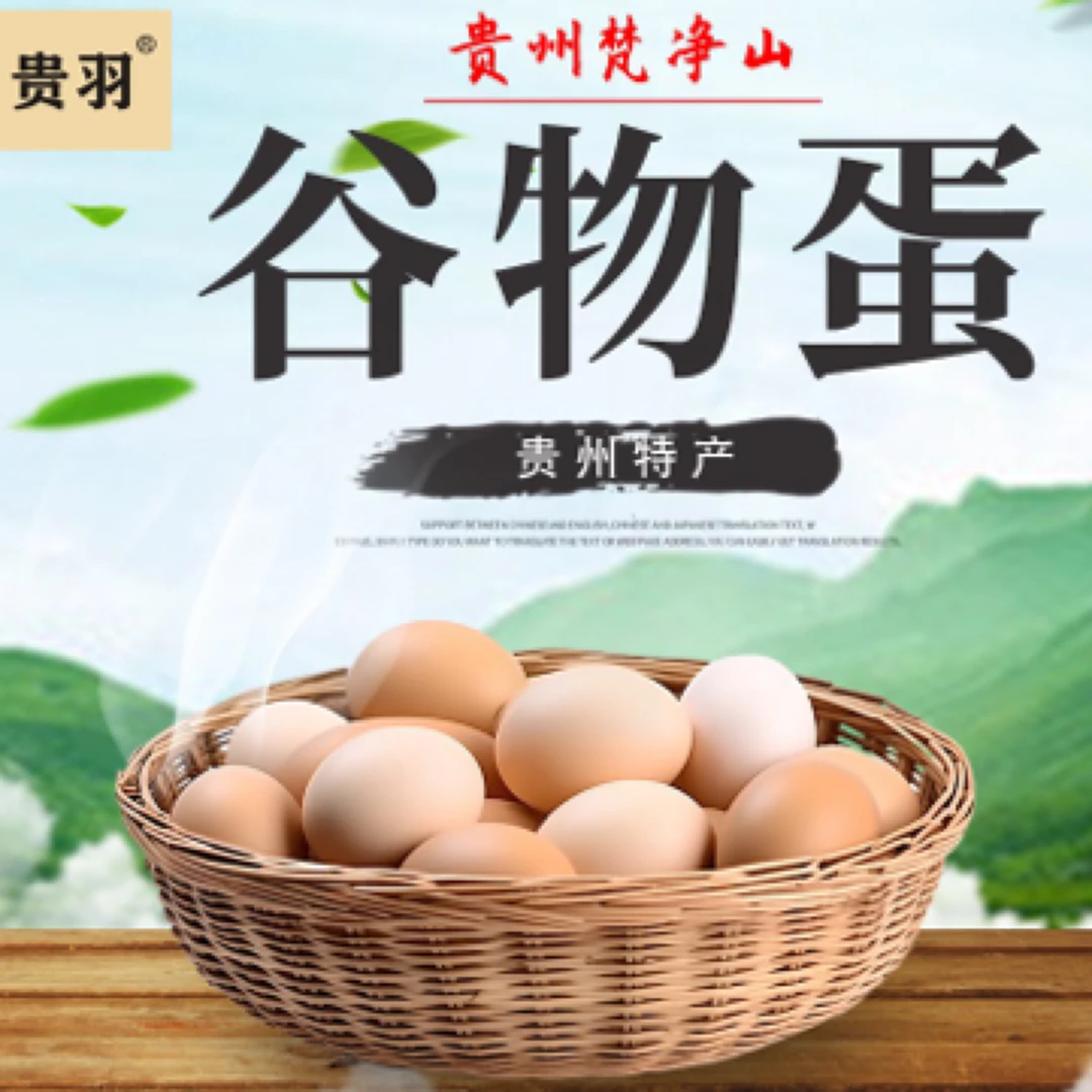 贵州松桃谷物土鸡蛋红星村主播专属