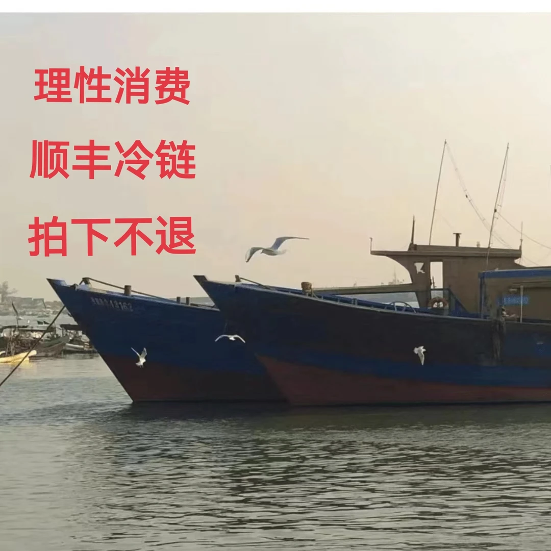 惠来神泉本港海鲜 3-20斤 以直播间为准