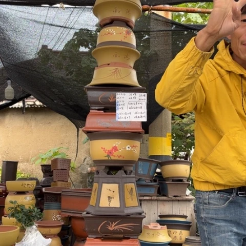 紫砂花盆特价包邮秒杀