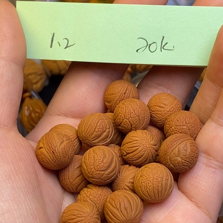 桃核吊坠秦岭龙纹桃核12尺寸