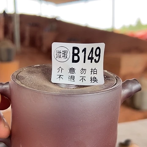 欧***师戬谷龙窑柴烧茶壶149
