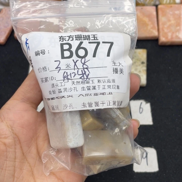 硅化珊瑚（珊瑚玉）颈饰合金和****饼