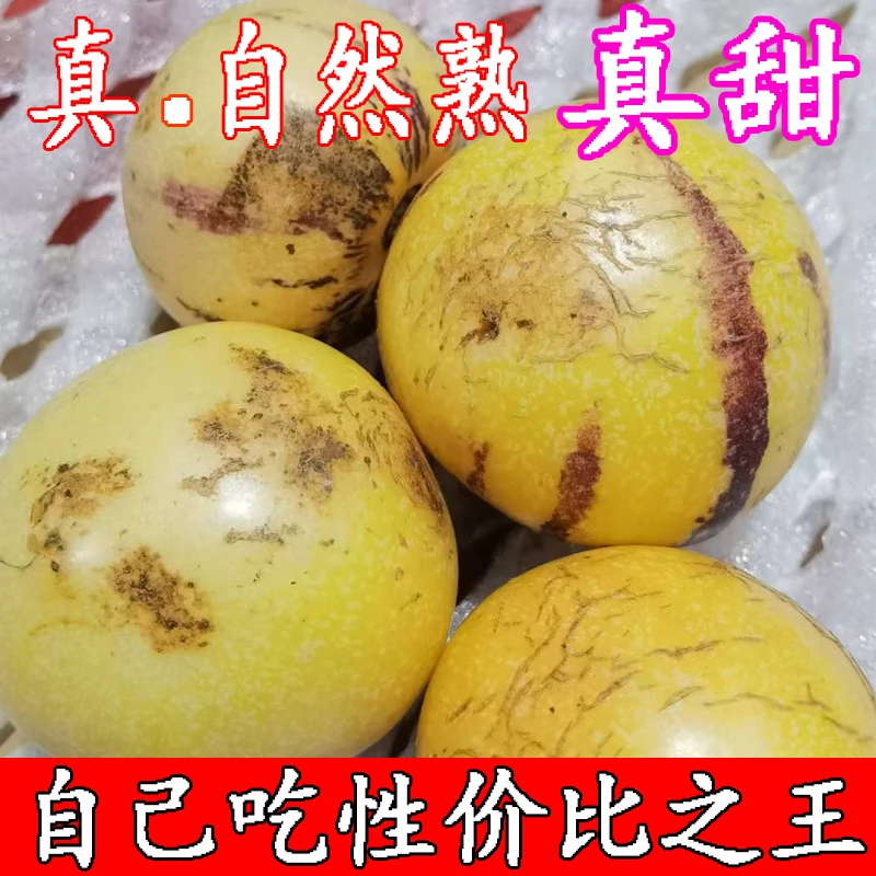 花皮【真自然熟、真甜、自己吃首选】云南石林人参果圆果全熟全甜果