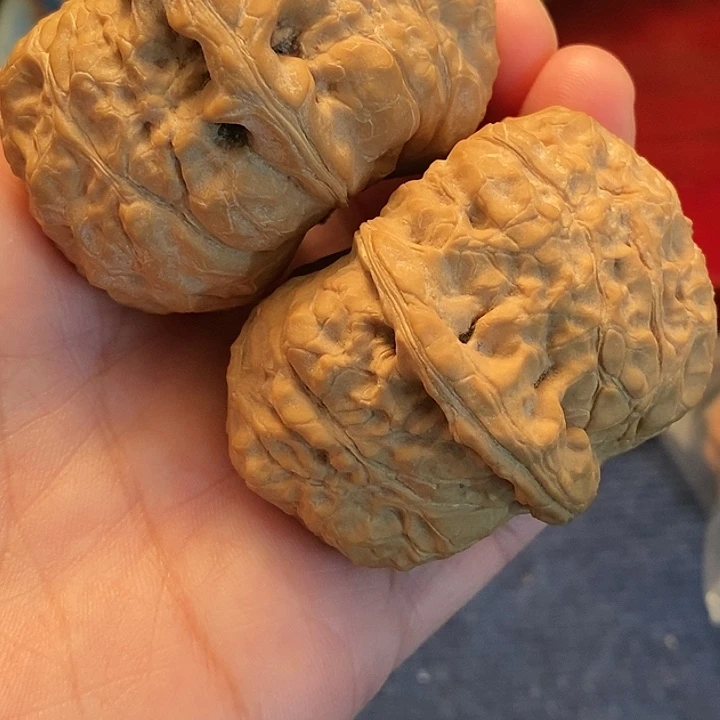 【闪购商品】文玩核桃吊坠张*龙漫画多