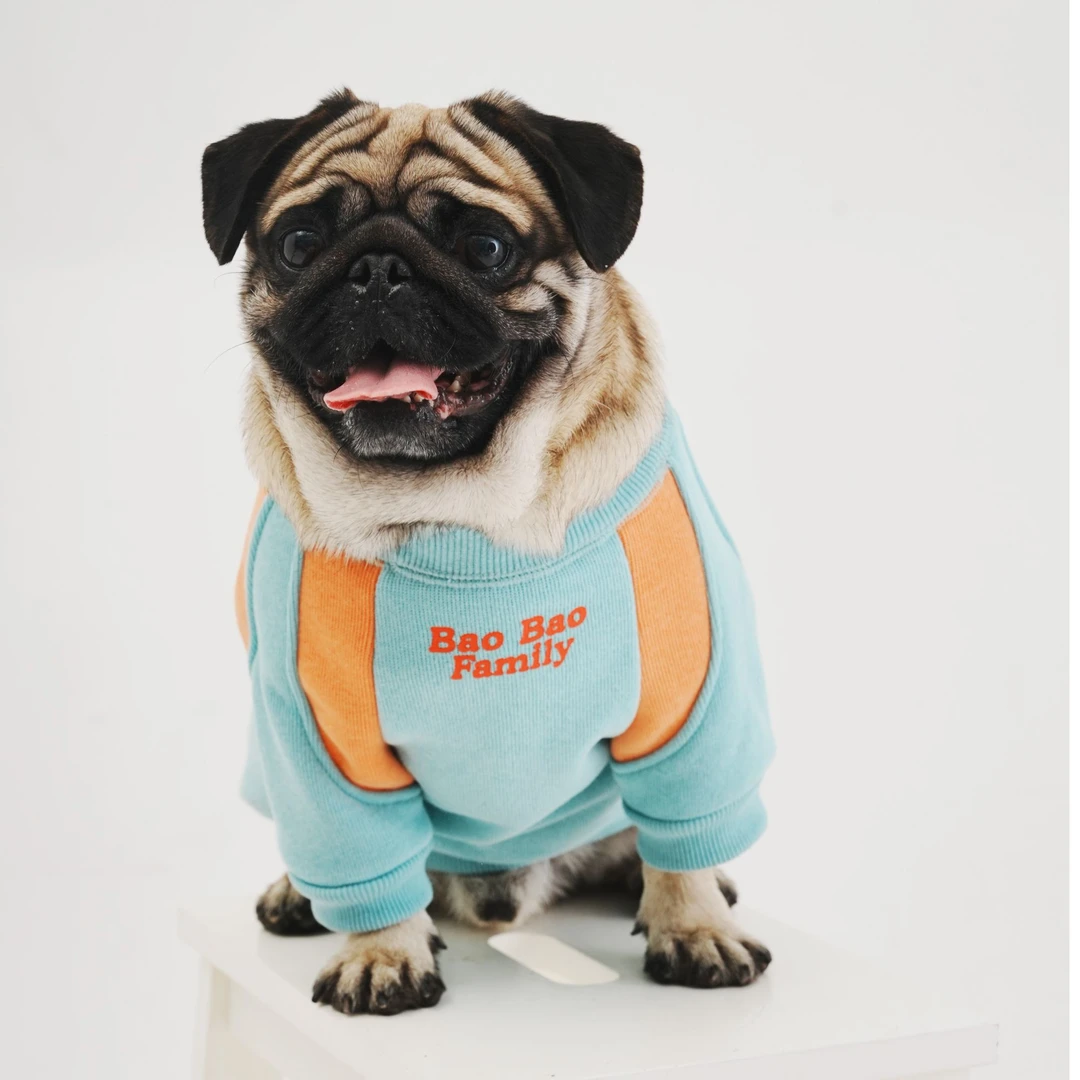 狗狗衣服春秋新款加绒款宠物小型犬服装巴哥法斗衣服春季潮牌卫衣