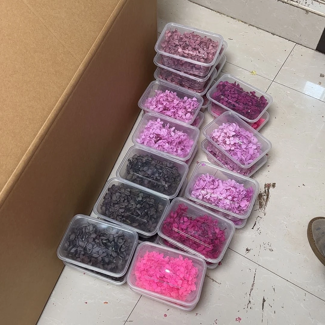 63号混色打包全部木绣球不售后