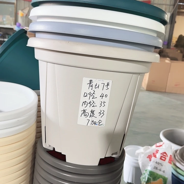 青山7#灰白5个无托