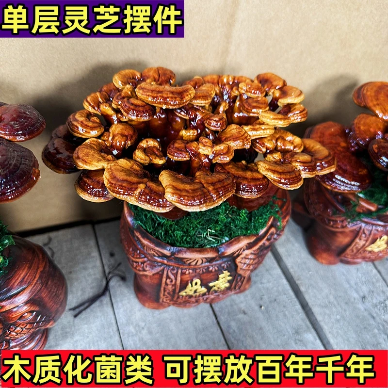 单层灵芝摆件 吉祥如意 富贵安康中式玄关