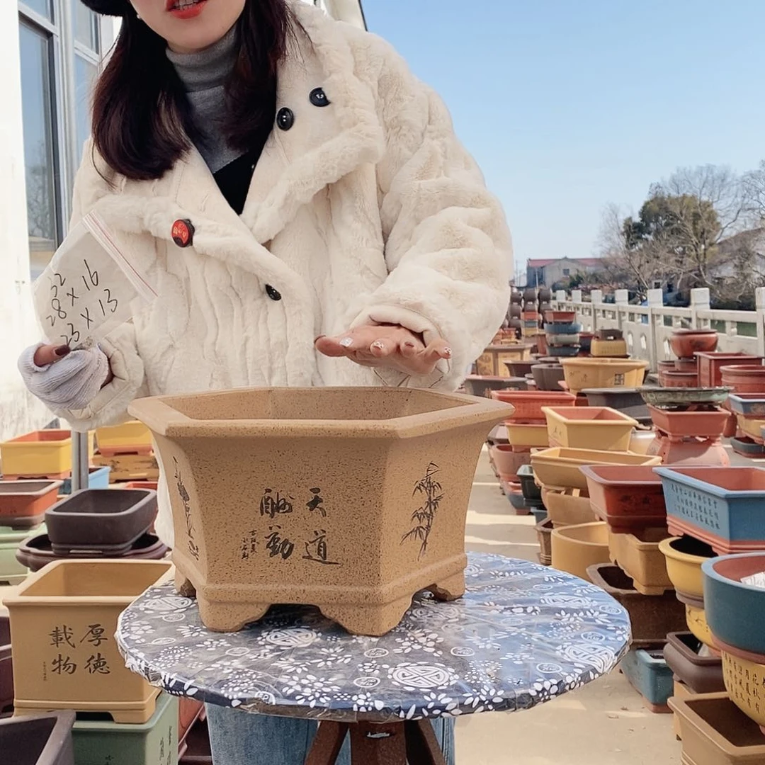 紫砂花盆紫砂花盆