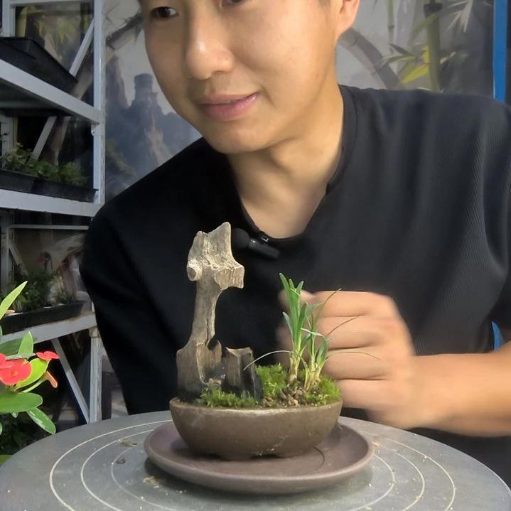 半**膀中青园艺一物一拍48