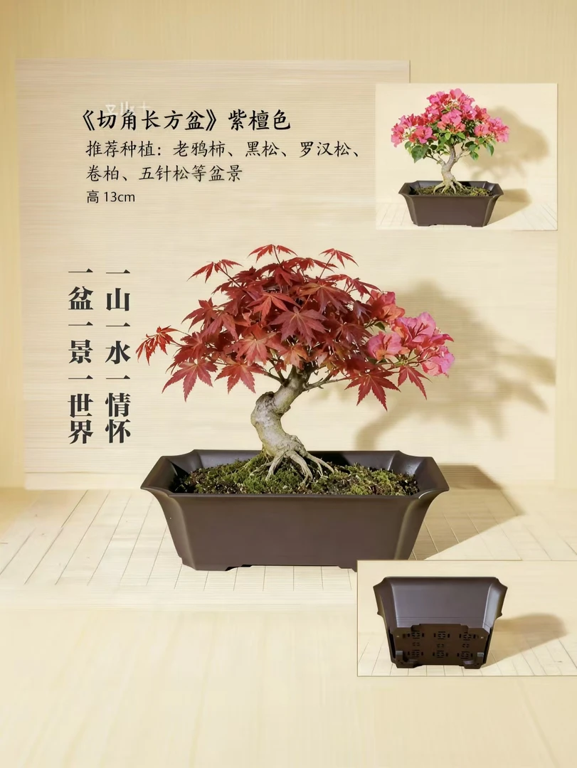 大号种菜花盆塑料长方形花盆种菜盆家用加厚阳台种菜专用箱小号