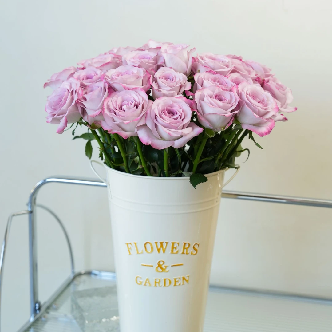 【气场玫瑰】顺丰包邮 48小时发货 山东基地直发