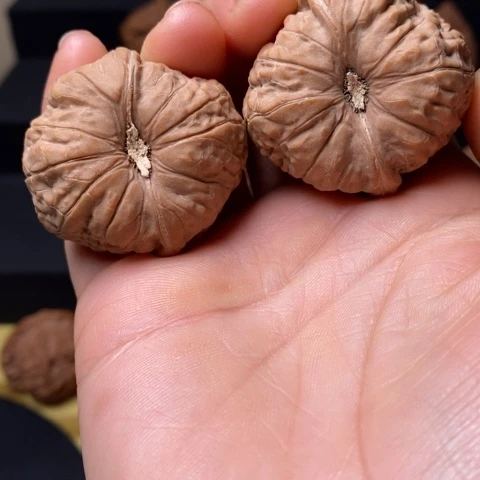 文玩核桃全品南瓜尺39