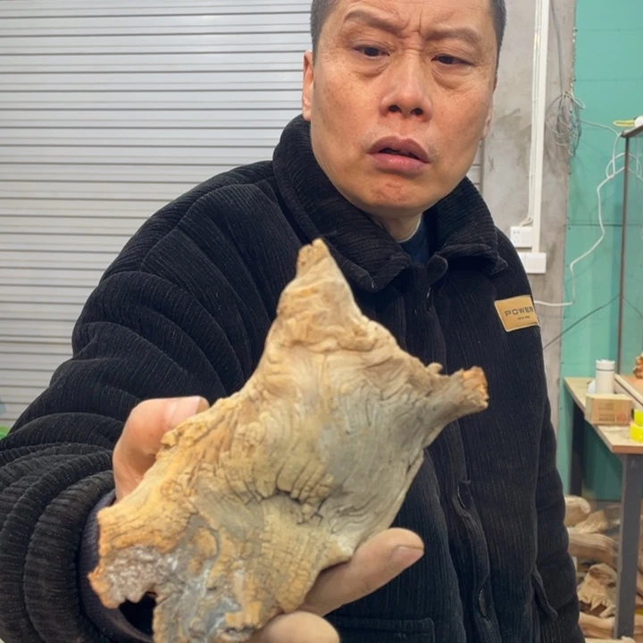 快****禾我们都是好孩子呀